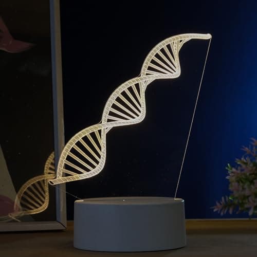 Luminária 3D Led DNA Corpo Humano PopLumos